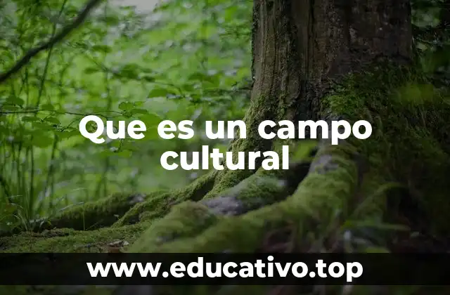 Que es un campo cultural