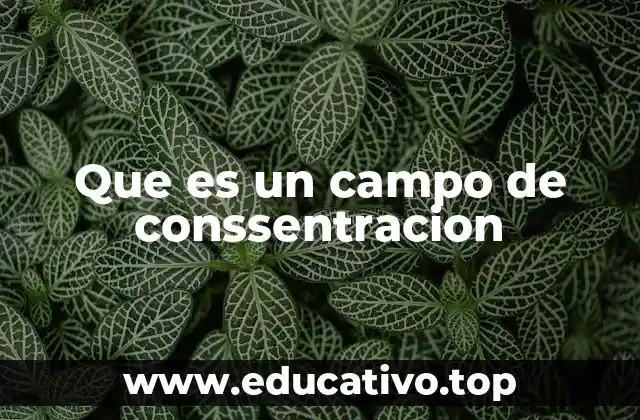 Que es un campo de conssentracion