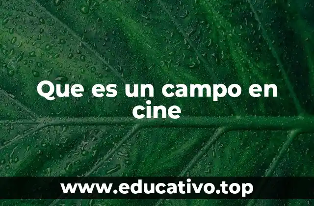 La importancia del campo en la narrativa audiovisual