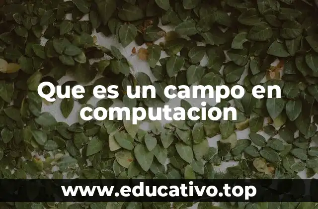 Que es un campo en computacion