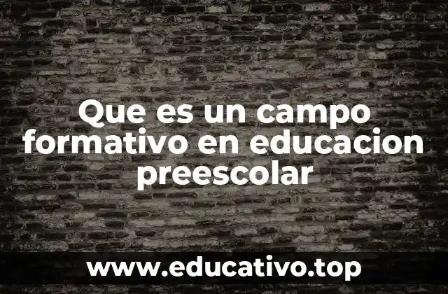 Que es un campo formativo en educacion preescolar