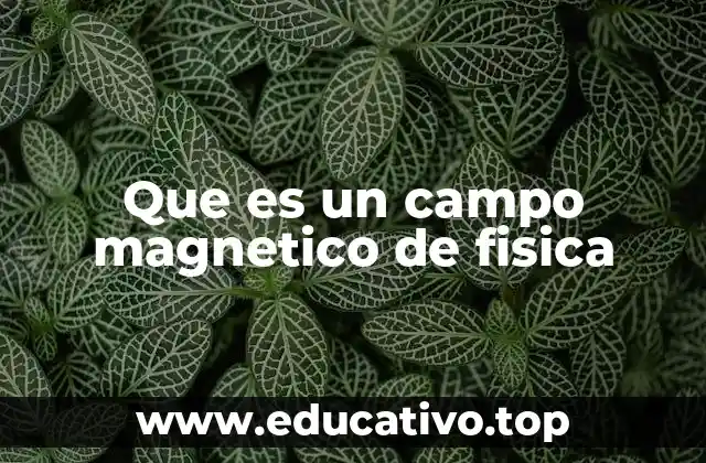 Que es un campo magnetico de fisica