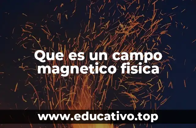 Que es un campo magnetico fisica