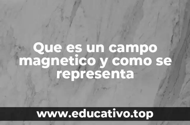 Que es un campo magnetico y como se representa