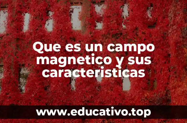 Que es un campo magnetico y sus caracteristicas