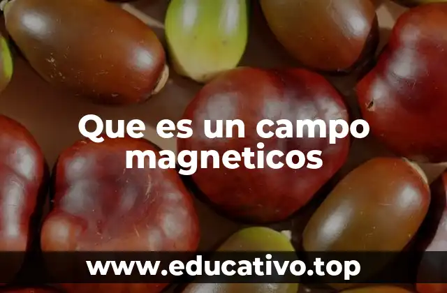 Que es un campo magneticos