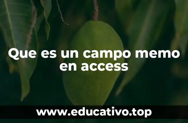 Tipos de campos en Access y el papel del memo