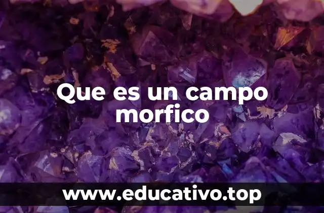Que es un campo morfico