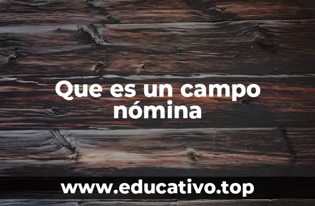 Que es un campo nómina