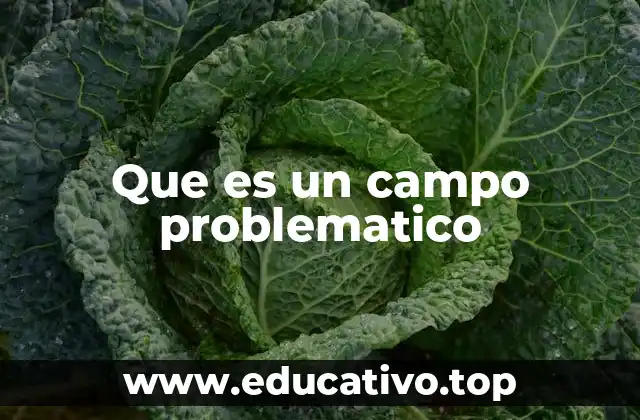Que es un campo problematico