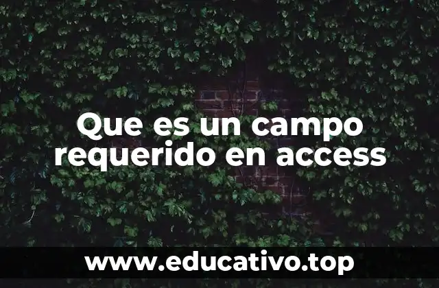 Que es un campo requerido en access