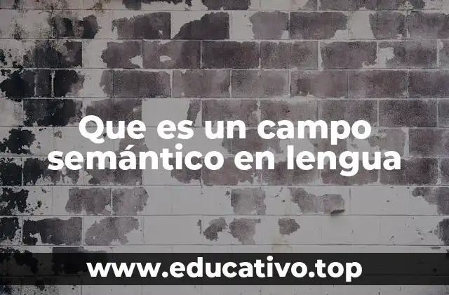 Que es un campo semántico en lengua