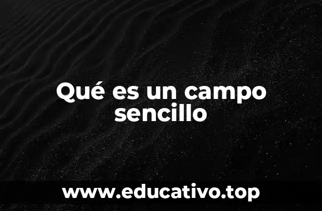 La estructura básica de los datos en un campo sencillo