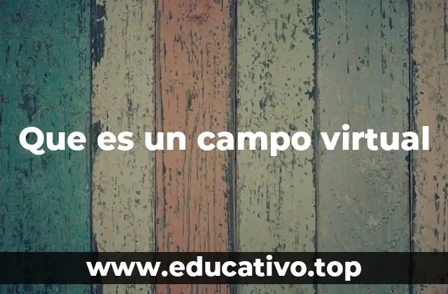 Que es un campo virtual