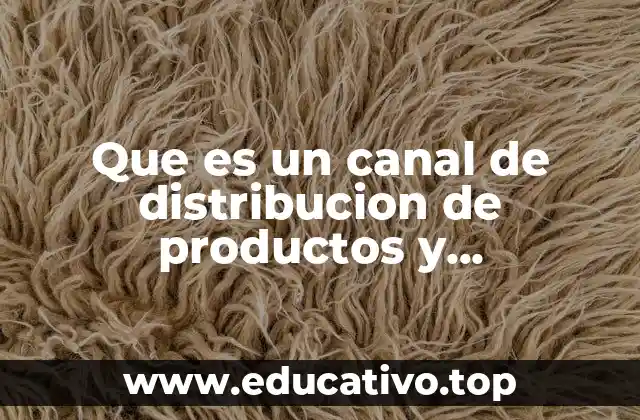Que es un canal de distribucion de productos y consumidores