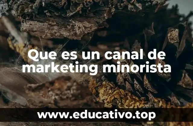 Que es un canal de marketing minorista