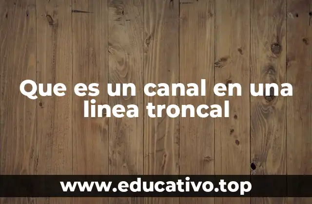 Que es un canal en una linea troncal