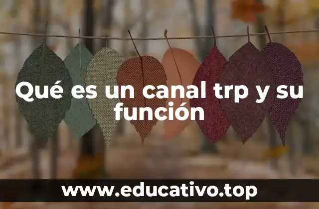 Qué es un canal trp y su función