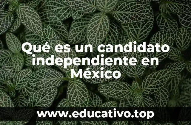 Qué es un candidato independiente en México