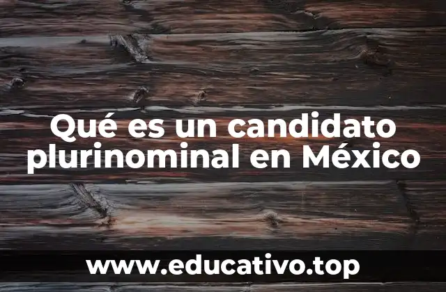 Qué es un candidato plurinominal en México