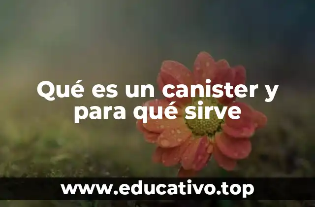 Qué es un canister y para qué sirve