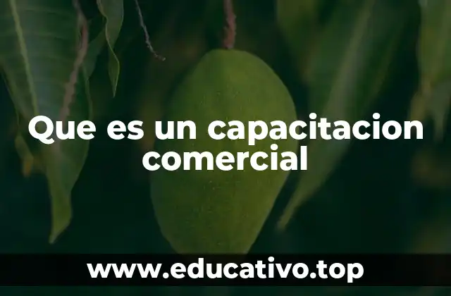 Que es un capacitacion comercial