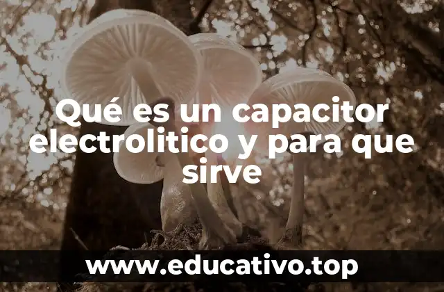 Qué es un capacitor electrolitico y para que sirve