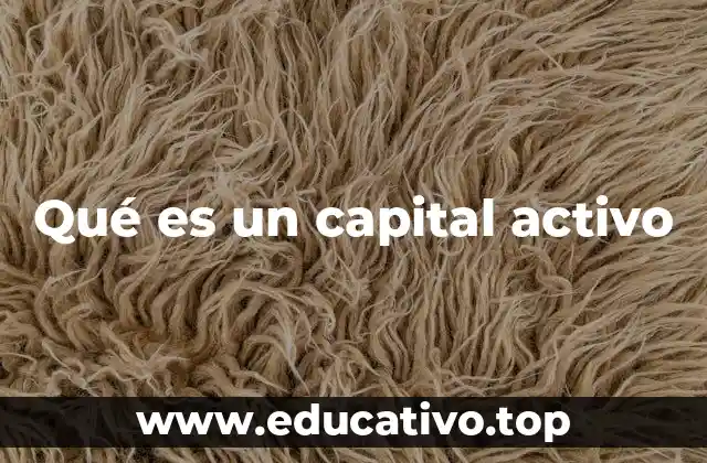 Qué es un capital activo