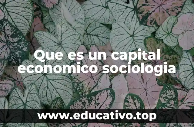 Que es un capital economico sociologia