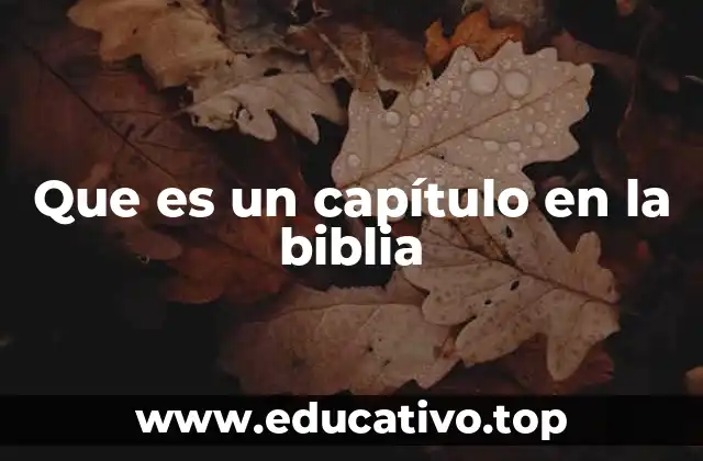 Que es un capítulo en la biblia