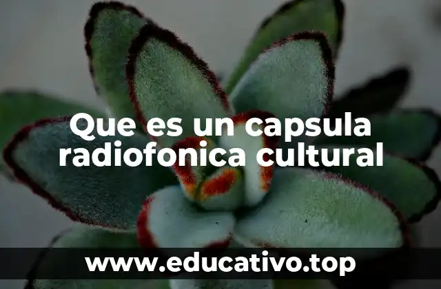 Que es un capsula radiofonica cultural