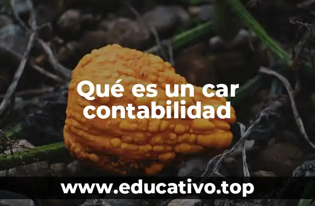 El rol del CAR en la gestión financiera empresarial