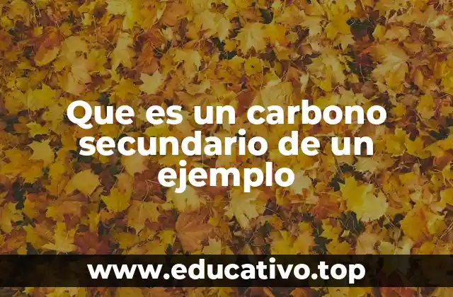 El papel de los carbonos en la estructura molecular