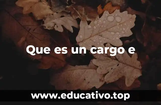 Que es un cargo e