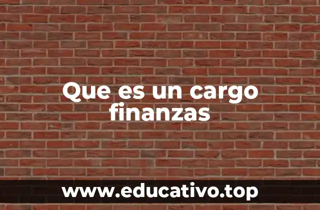 Que es un cargo finanzas