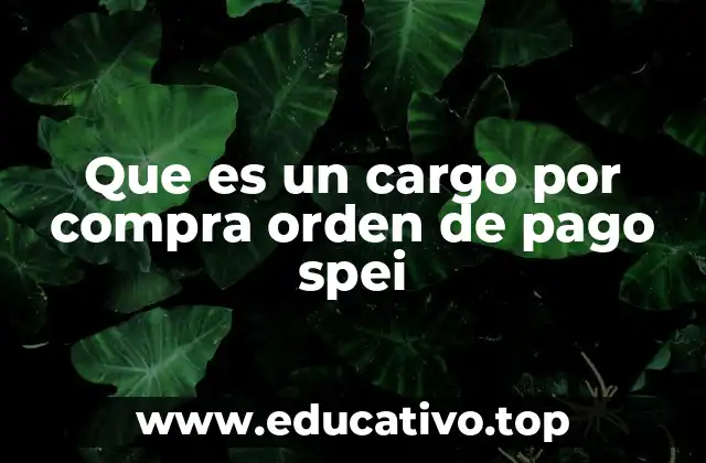 Que es un cargo por compra orden de pago spei