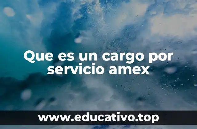 Que es un cargo por servicio amex