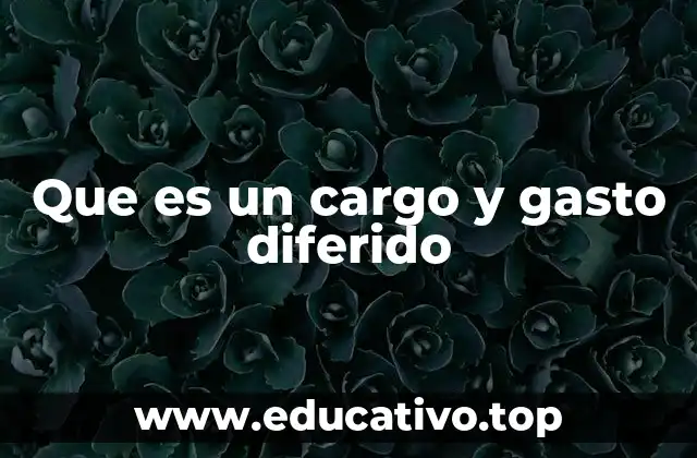 Que es un cargo y gasto diferido