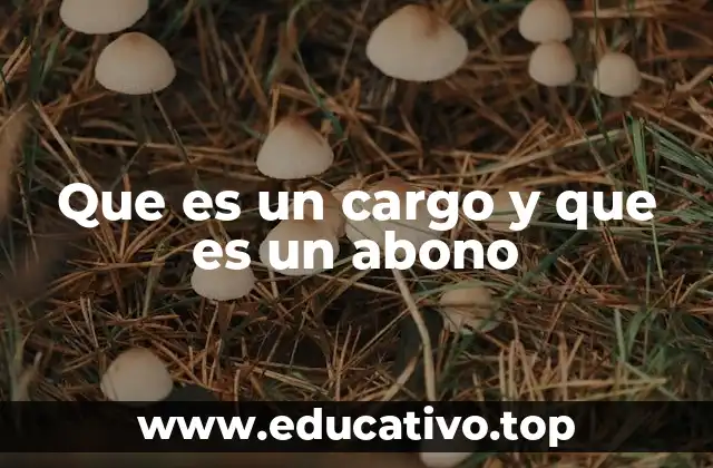 Que es un cargo y que es un abono