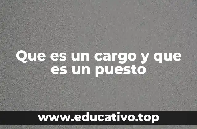 ¿Cómo se diferencian el cargo y el puesto en la estructura organizacional?