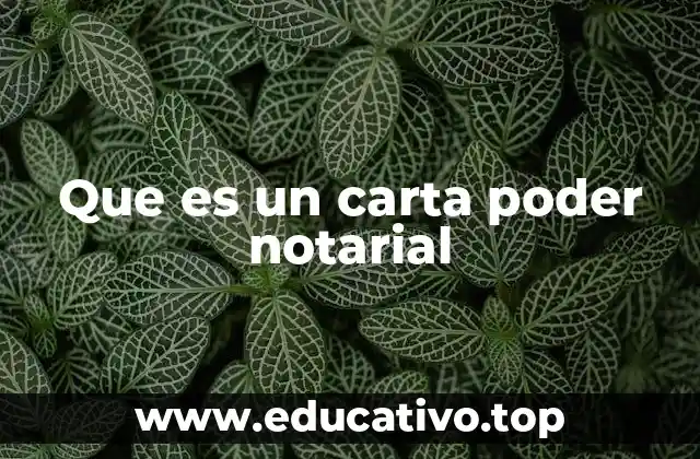Que es un carta poder notarial