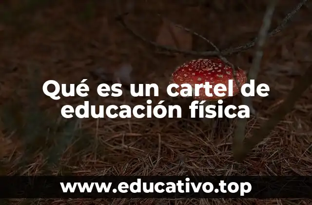 Qué es un cartel de educación física