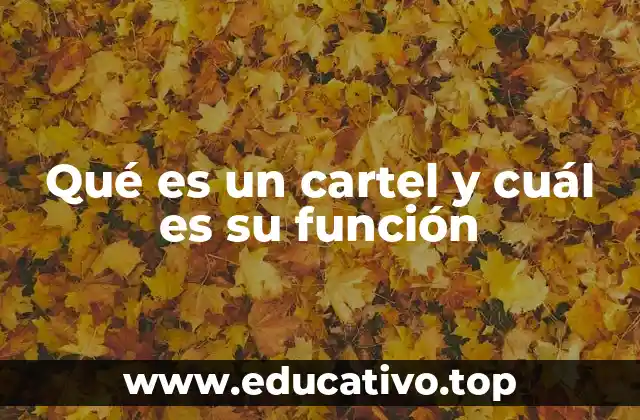 Qué es un cartel y cuál es su función