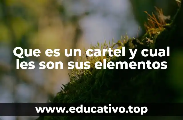 Que es un cartel y cual les son sus elementos