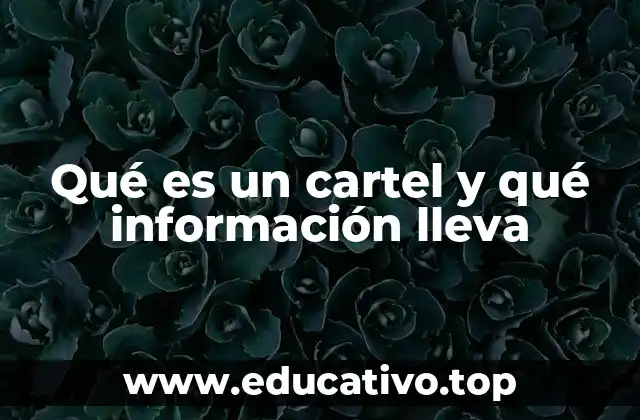 Qué es un cartel y qué información lleva