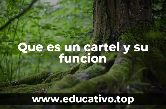 Que es un cartel y su funcion