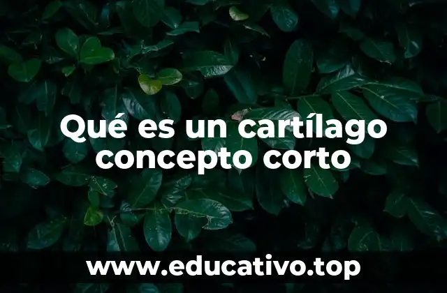 Qué es un cartílago concepto corto