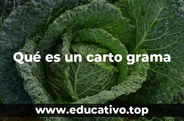 Qué es un carto grama