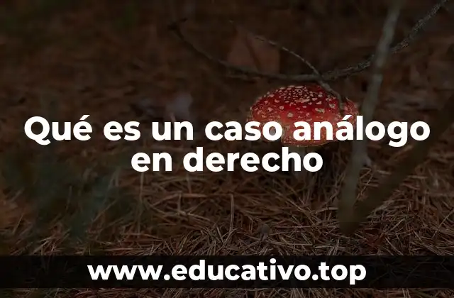 La importancia de los casos análogos en la jurisprudencia