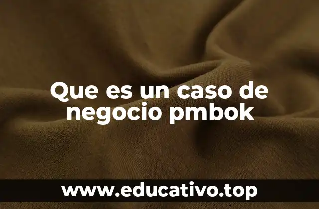 Que es un caso de negocio pmbok